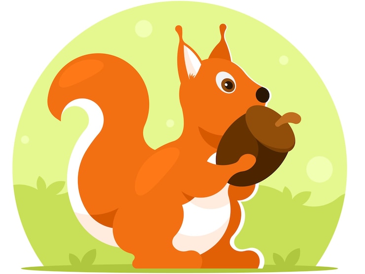 Vector ilustración vectorial de la ardilla peluda roja con la cola espesa sosteniendo la bellota