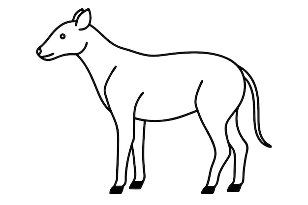 Ilustración vectorial de arte de línea de animales de Zoo39s