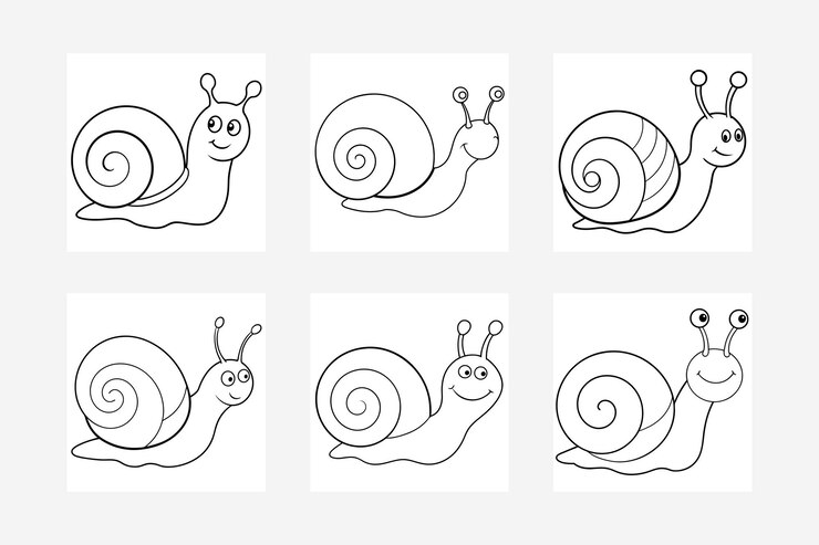 Ilustración vectorial de arte de la línea de caracol para colorear