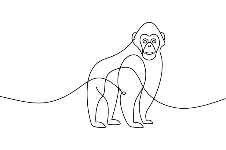 Vector ilustración vectorial de arte de línea continua de gorila en fondo blanco