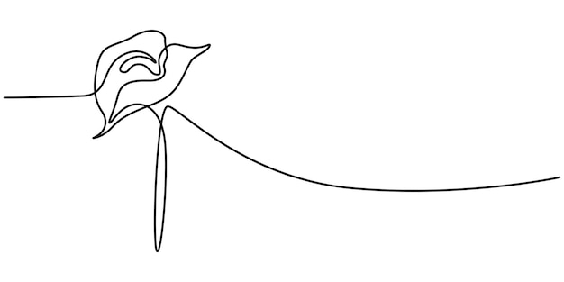 Ilustración vectorial de arte de una línea de flor de lirio de Calla Vector abstracto de flor de Lirio en una línea