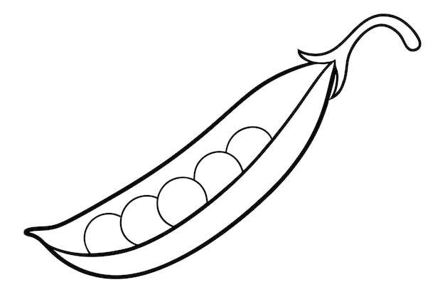 Ilustración vectorial de arte de línea de guisantes aislada en fondo blanco