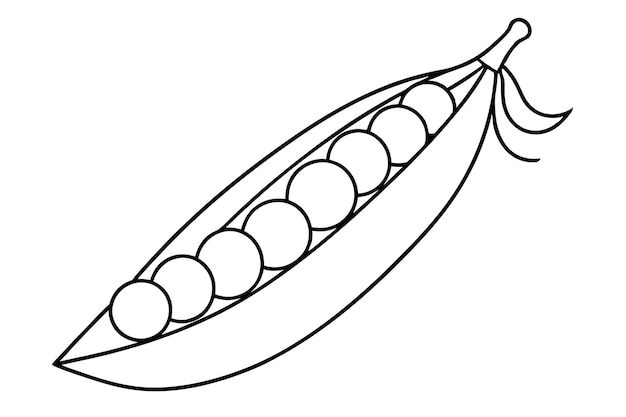 Ilustración vectorial de arte de línea de guisantes aislada en fondo blanco