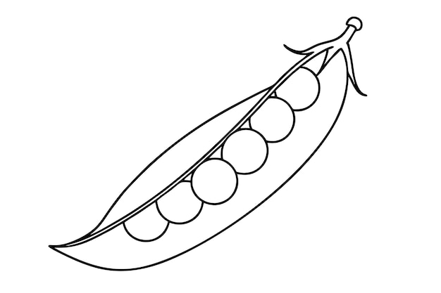 Ilustración vectorial de arte de línea de guisantes aislada en fondo blanco