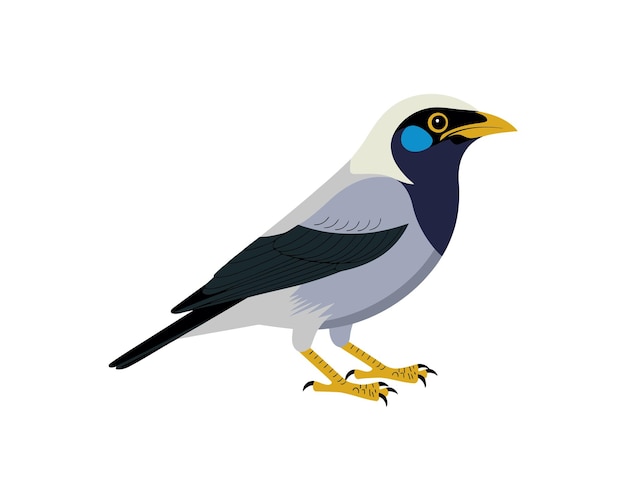 Ilustración vectorial de aves de Bali Myna aislada en un fondo blanco