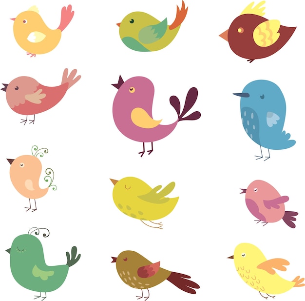 Ilustración vectorial de aves