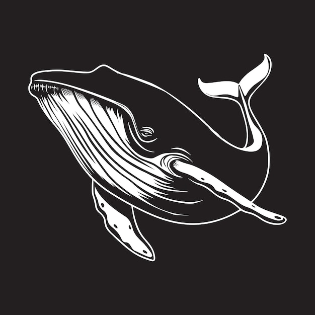 Ilustración vectorial de la ballena corona en blanco y negro