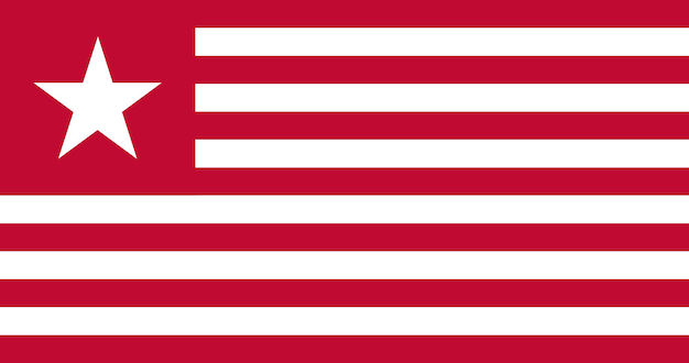 Ilustración vectorial de la bandera del coronel James Longs de calidad premium