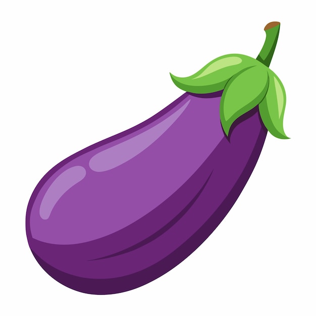 Ilustración vectorial de berenjena aislada en fondo blanco
