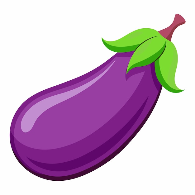 Ilustración vectorial de berenjena aislada en fondo blanco
