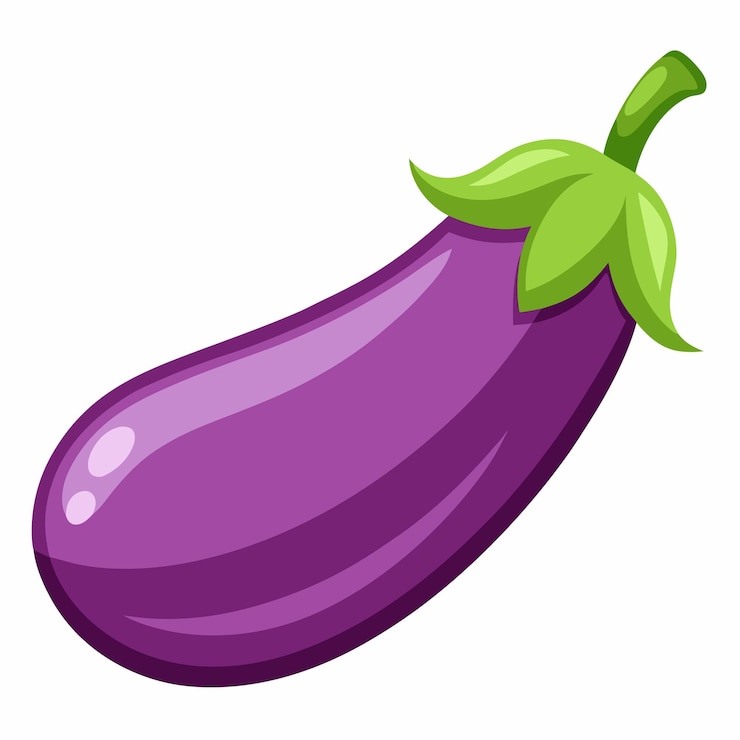 Vector ilustración vectorial de berenjena aislada en fondo blanco