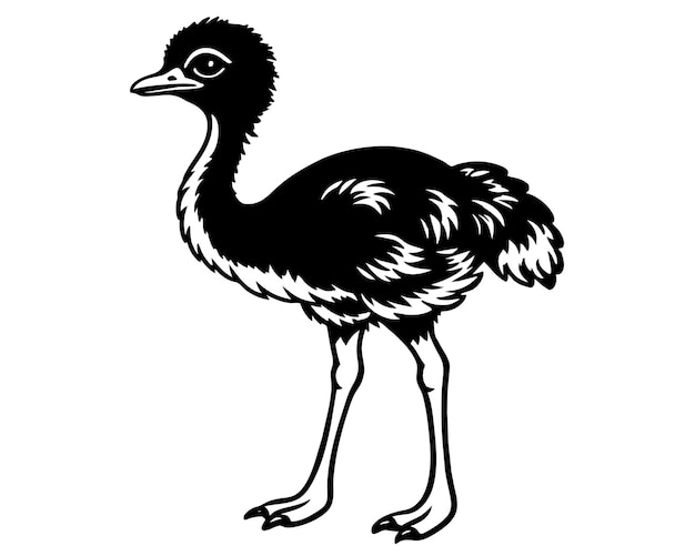 Ilustración vectorial en blanco y negro de un avestruz