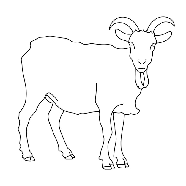 Ilustración vectorial en blanco y negro de una cabra