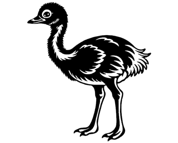 Ilustración vectorial en blanco y negro de Emu aislada sobre fondo blanco