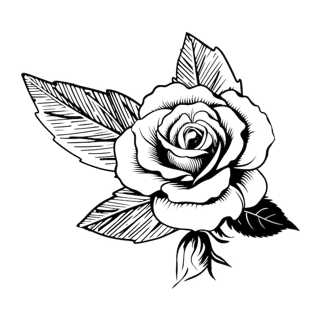 Ilustración vectorial en blanco y negro de la flor de las rosas