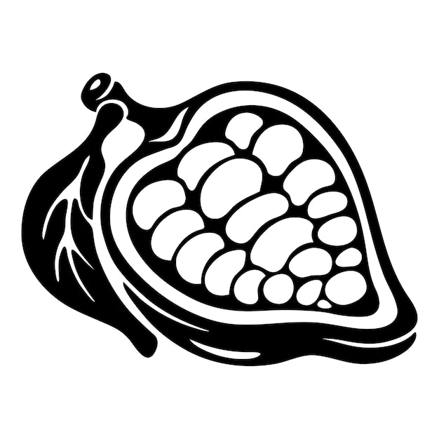 Vector ilustración vectorial en blanco y negro en grano de cacao de estilo dibujado a mano