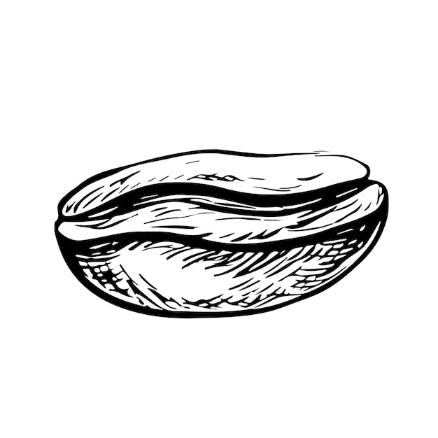 Ilustración vectorial en blanco y negro del grano de café