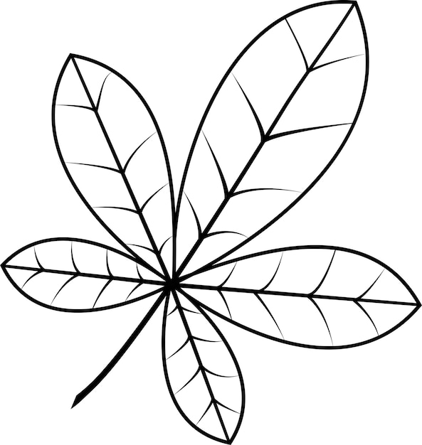 Ilustración vectorial en blanco y negro de una hoja de castaño. Ilustración de otoño. Una idea para un logo