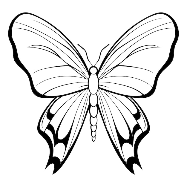 Vector ilustración vectorial en blanco y negro de mariposa aislada sobre fondo blanco