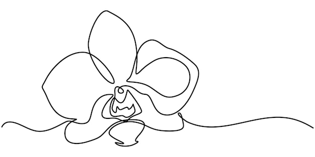 Ilustración vectorial en blanco y negro de una página de libro de colorear de actividad infantil con imágenes de pro