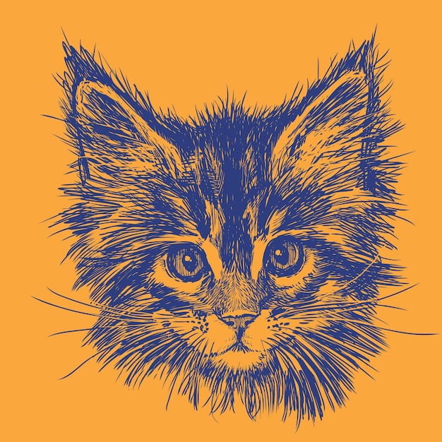 Ilustración vectorial del boceto de la cara del gato