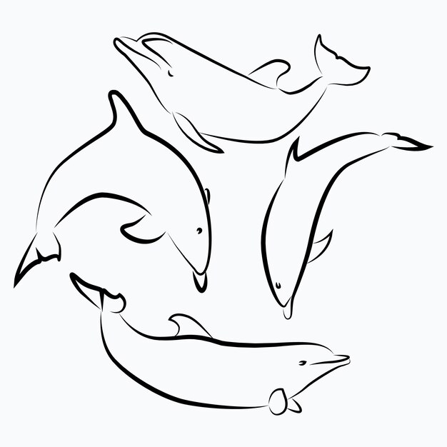 Ilustración vectorial del boceto de dolphin line art