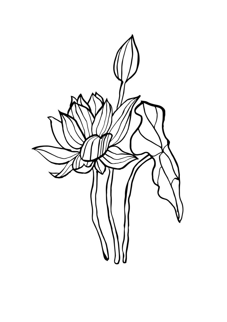 Ilustración vectorial boceto de tinta con flores de loto Arte para para impresiones arte de pared fondo de estandarte