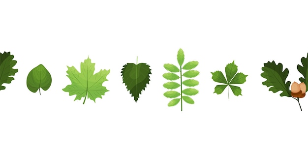Vector ilustración vectorial del borde sin costuras con hojas verdes del bosque
