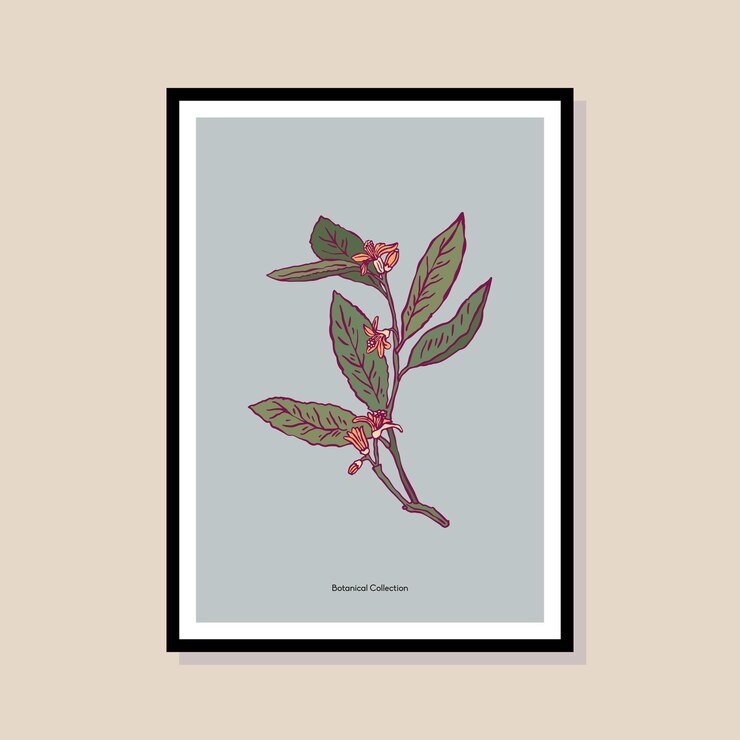 Vector ilustración vectorial botánica dibujada a mano en una plantilla de marco de póster