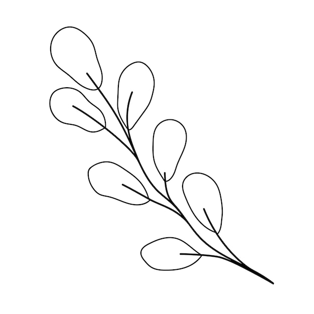 Ilustración vectorial botánica dibujada a mano