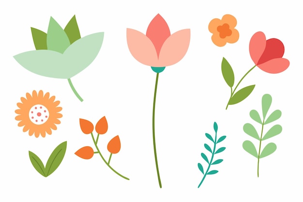 Ilustración vectorial botánica de hojas y flores