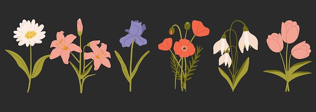 Ilustración vectorial botánica de primavera Conjunto de flores de primavera dibujadas a mano Ilustración vector en plano