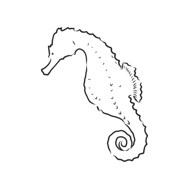 Ilustración vectorial de un caballito de mar Caballito de mar ilustración vectorial en blanco y negro