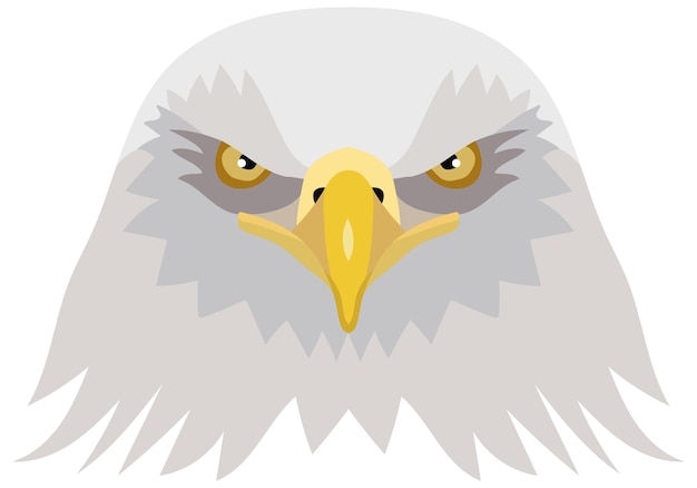 Ilustración vectorial de la cabeza de un águila calva americana en primer plano Gráficos vectoriales aislados sobre fondo blanco