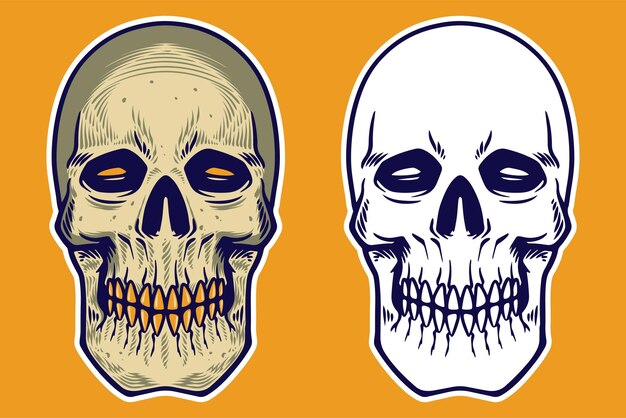 Ilustración vectorial de la cabeza del cráneo