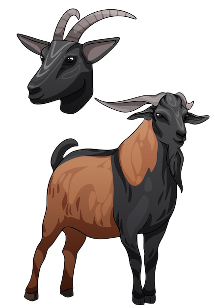 Ilustración vectorial de una cabra belga