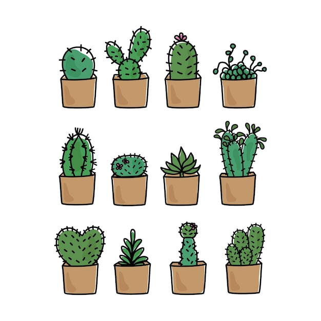 Ilustración vectorial de cactus dibujado a mano