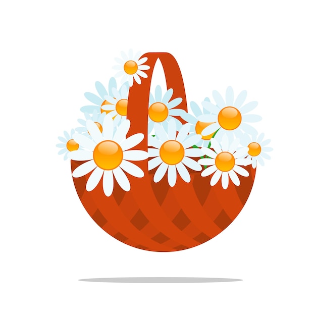 Ilustración vectorial de la canasta de manzanilla