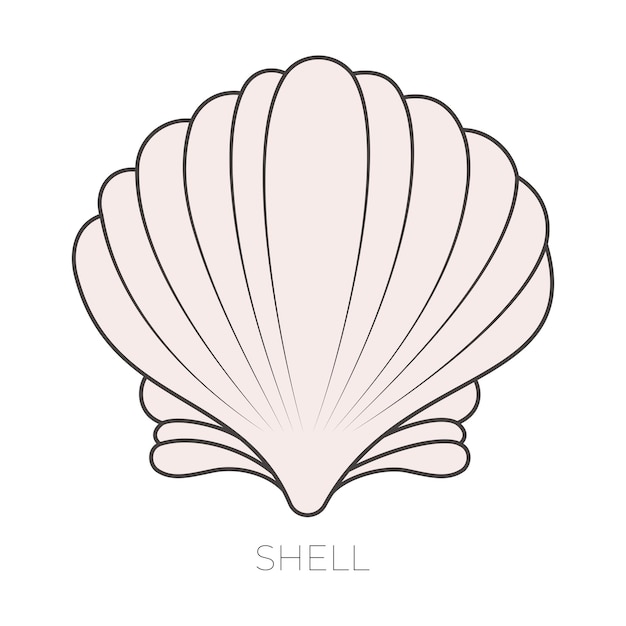 Ilustración vectorial de la cáscara