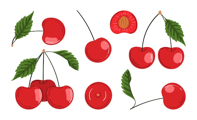 Ilustración vectorial de cerezas maduras Bayas con tallos y hojas verdes