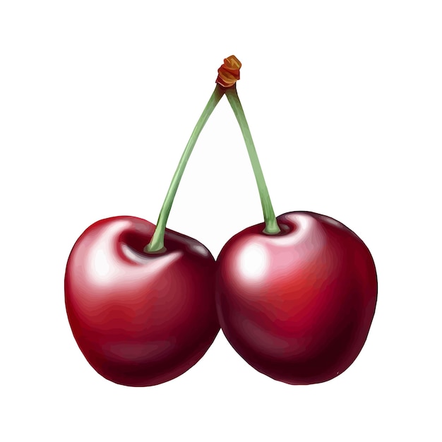 Ilustración vectorial de cerezas