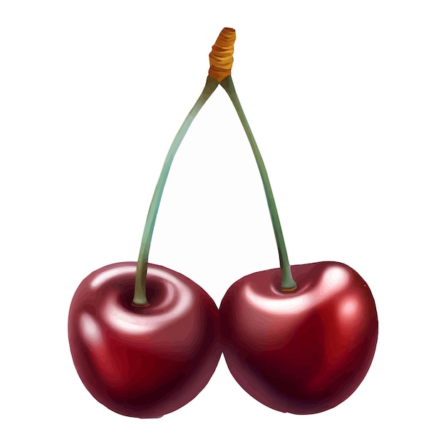 Ilustración vectorial de cerezas