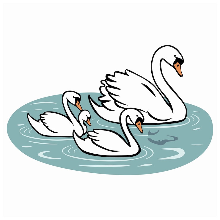 Vector ilustración vectorial de cisnes aislados en fondo blanco
