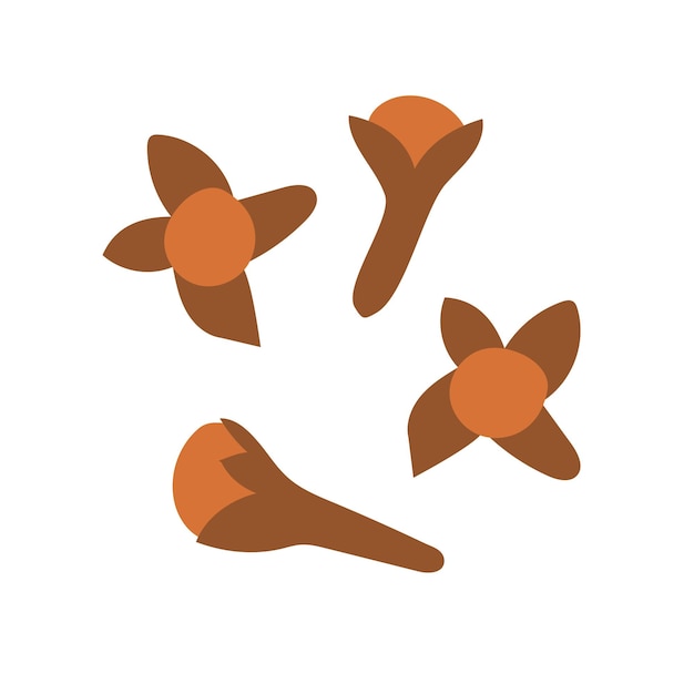Ilustración vectorial de clavo de olor seco del brote de la flor