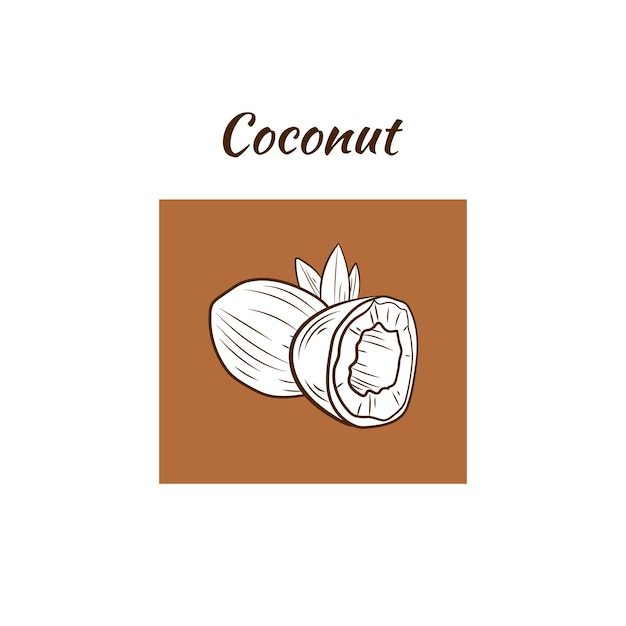 Ilustración vectorial coco con hojas plantilla de icono en blanco y negro