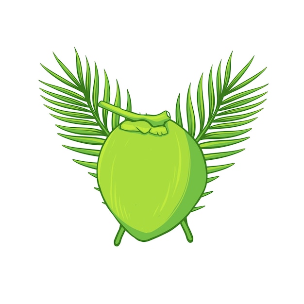 Ilustración vectorial de coco joven entero y medio verde