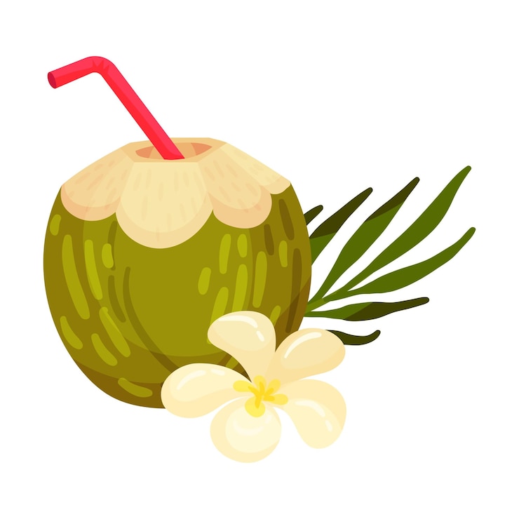 Vector ilustración vectorial de un cóctel casero en un coco verde con flor de vainilla