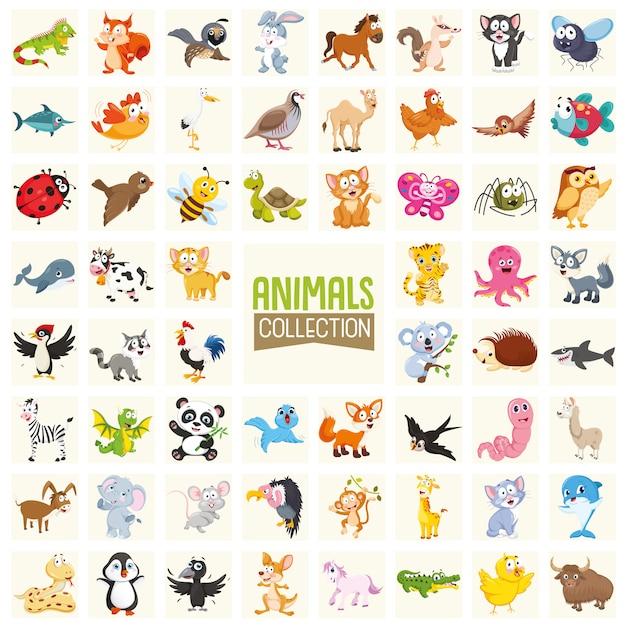 Ilustración vectorial de la colección de animales de dibujos animados