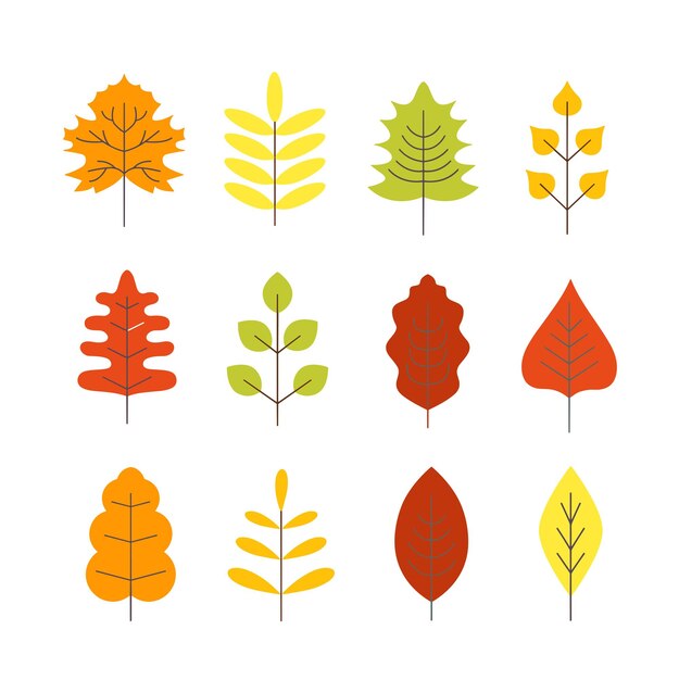 Ilustración vectorial de la colección de conjuntos vectoriales de hojas de otoño