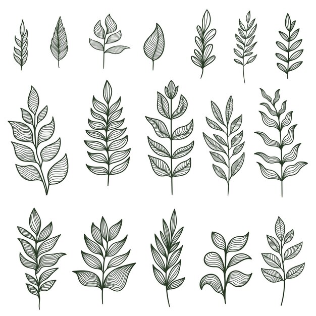 Ilustración vectorial de la colección de elementos vegetales
